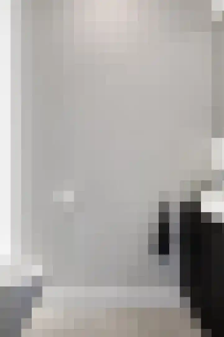 Koolmees 6 Mierlo thumbnail 9