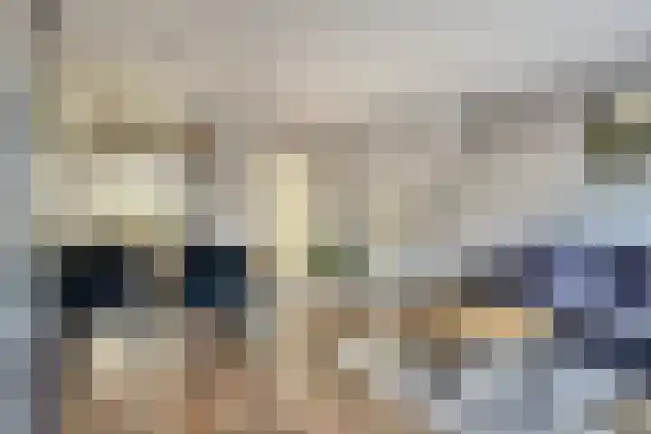 Koolmees 7 De Lier thumbnail 10