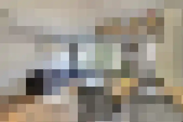 Koolmees 7 De Lier thumbnail 12