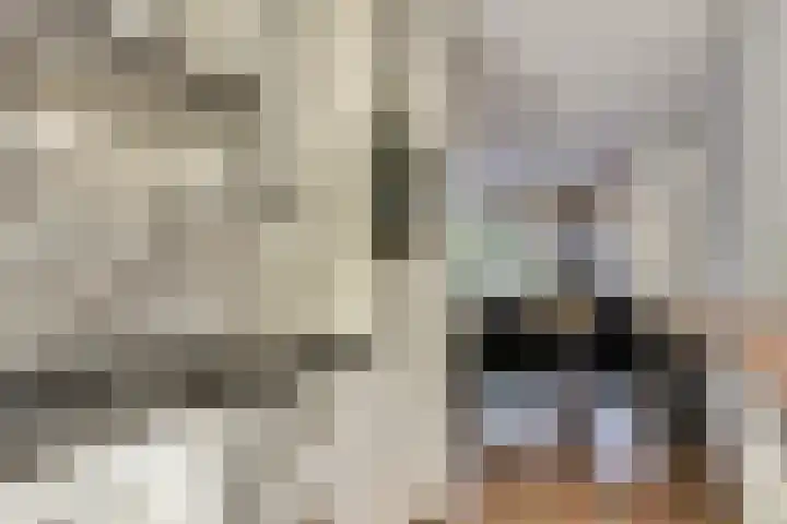 Koolmees 7 De Lier thumbnail 13