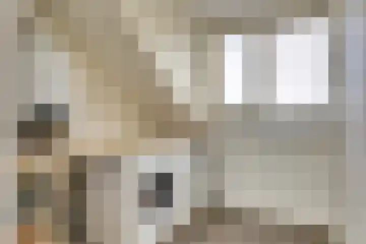 Koolmees 7 De Lier thumbnail 24