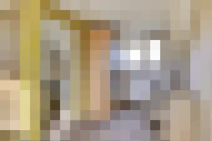 Koolmees 7 De Lier thumbnail 26