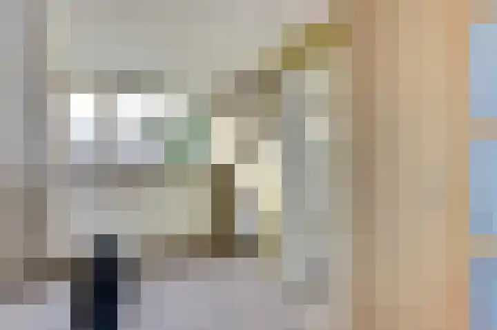 Koolmees 7 De Lier thumbnail 27