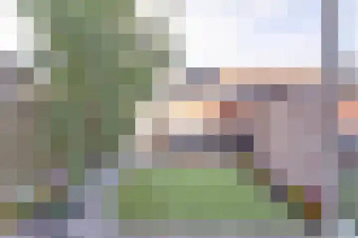 Koolmees 7 De Lier thumbnail 28