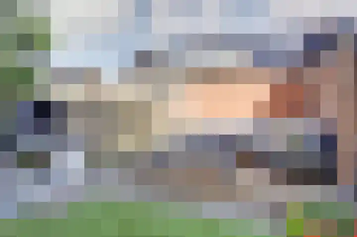 Koolmees 7 De Lier thumbnail 31