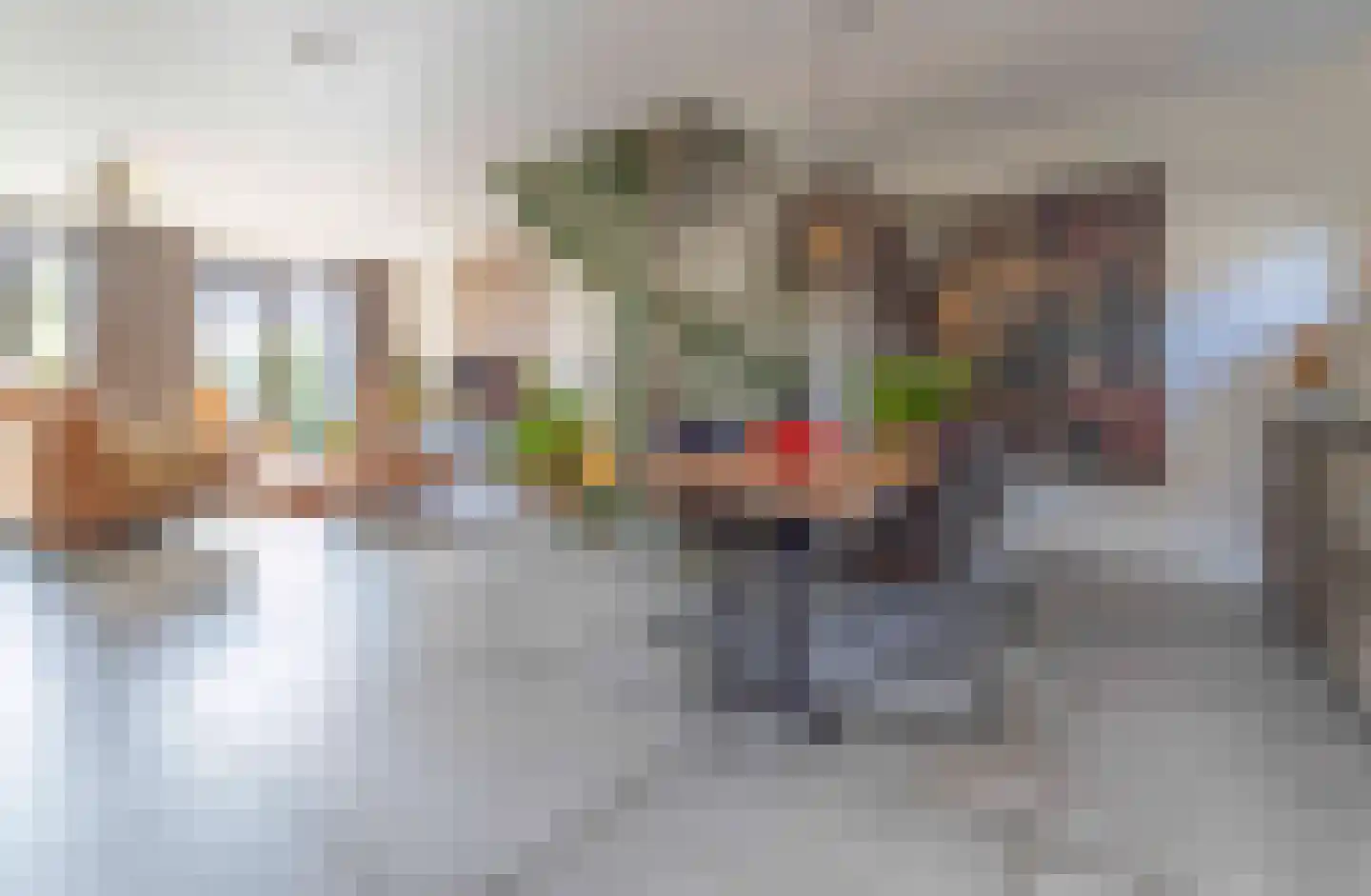 Koolmees 7 Kaatsheuvel thumbnail 11
