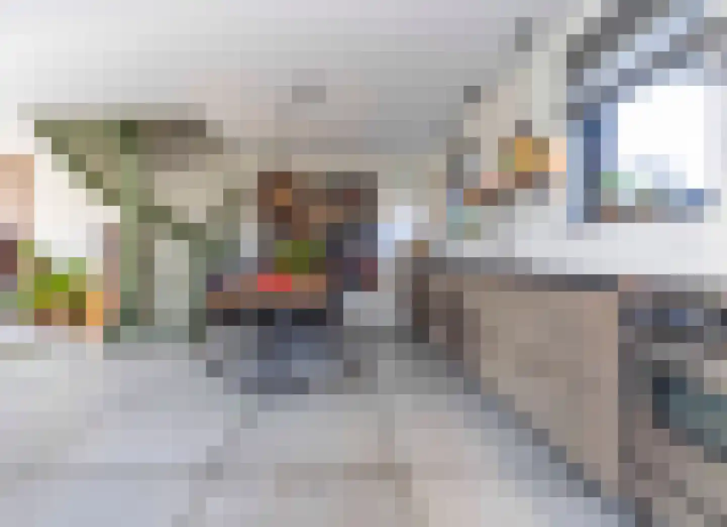 Koolmees 7 Kaatsheuvel thumbnail 12
