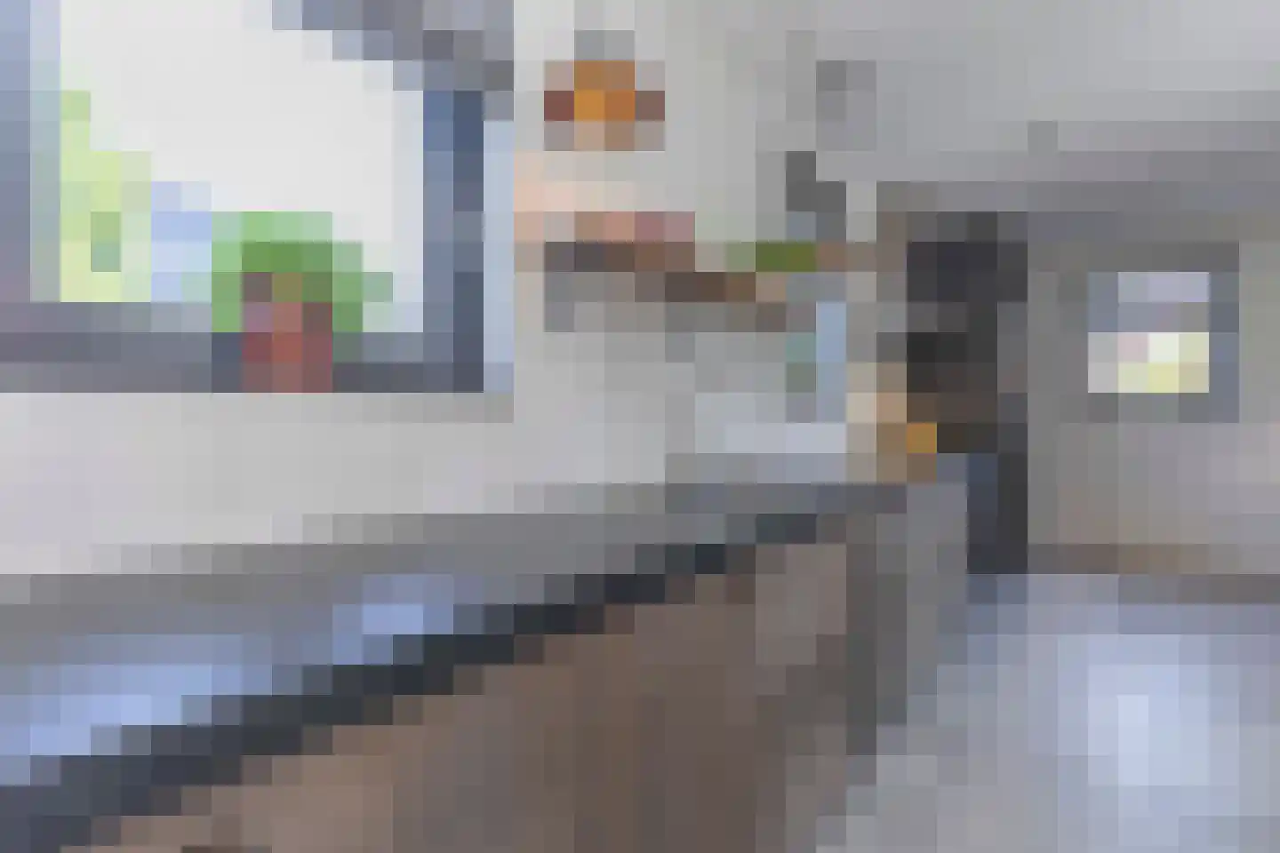 Koolmees 7 Kaatsheuvel thumbnail 13