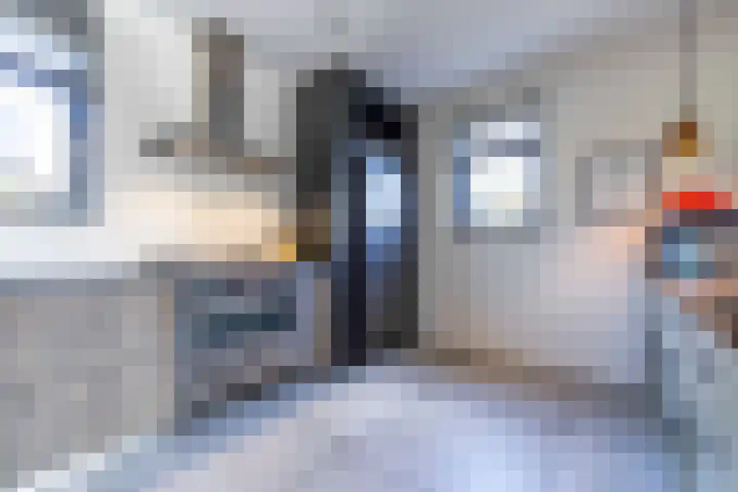 Koolmees 7 Kaatsheuvel thumbnail 14