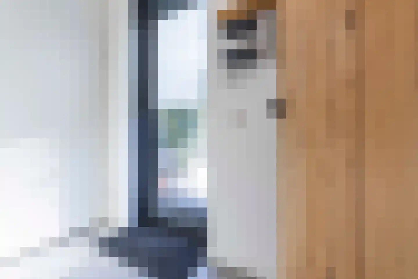 Koolmees 7 Kaatsheuvel thumbnail 16