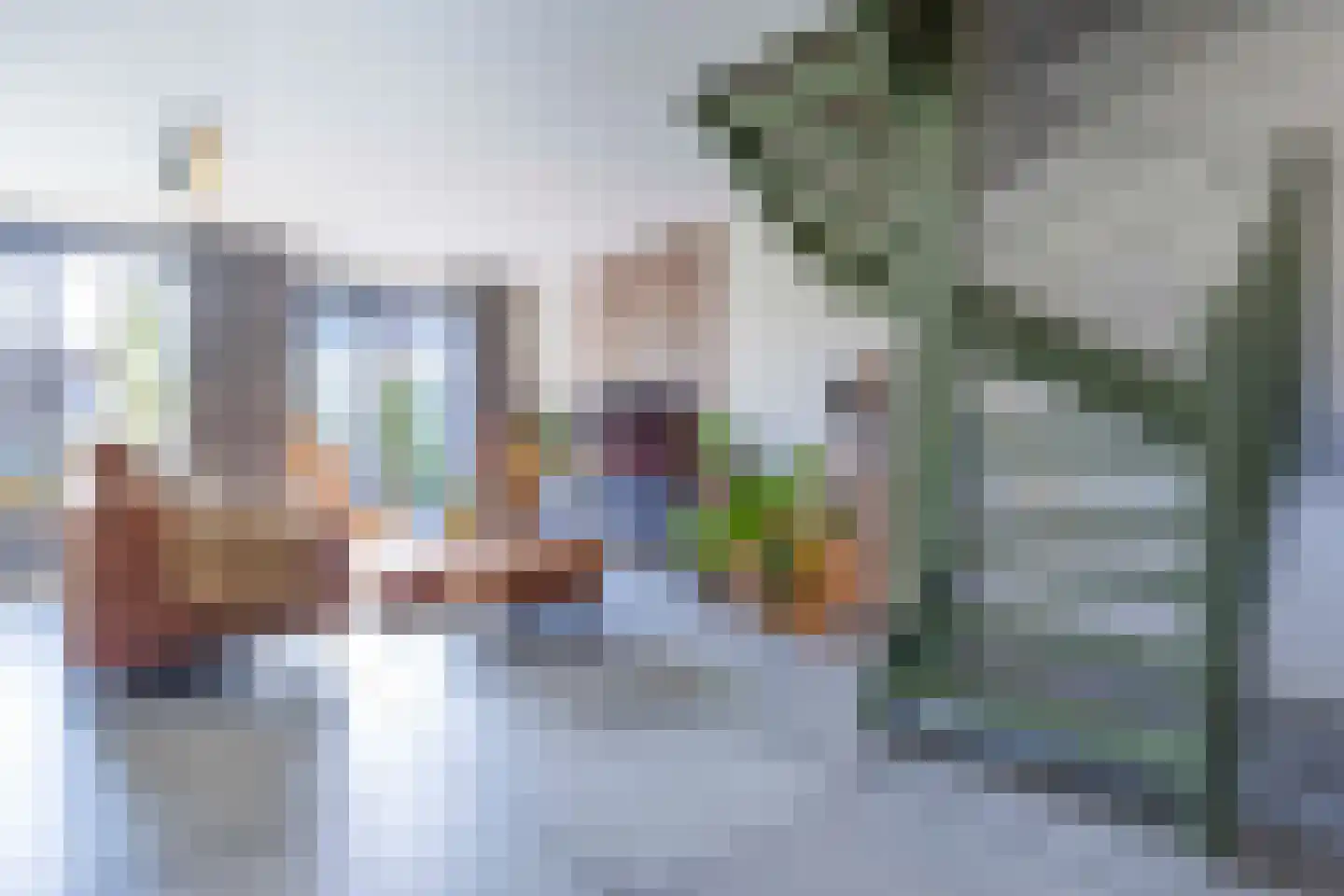 Koolmees 7 Kaatsheuvel thumbnail 18