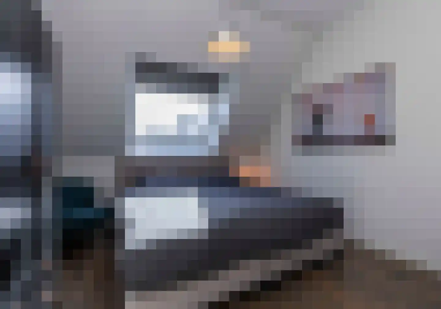 Koolmees 7 Kaatsheuvel thumbnail 21