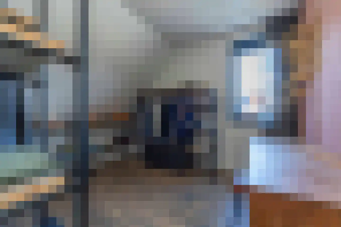 Koolmees 7 Kaatsheuvel thumbnail 22