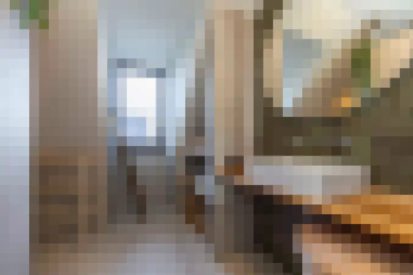 Koolmees 7 Kaatsheuvel thumbnail 23