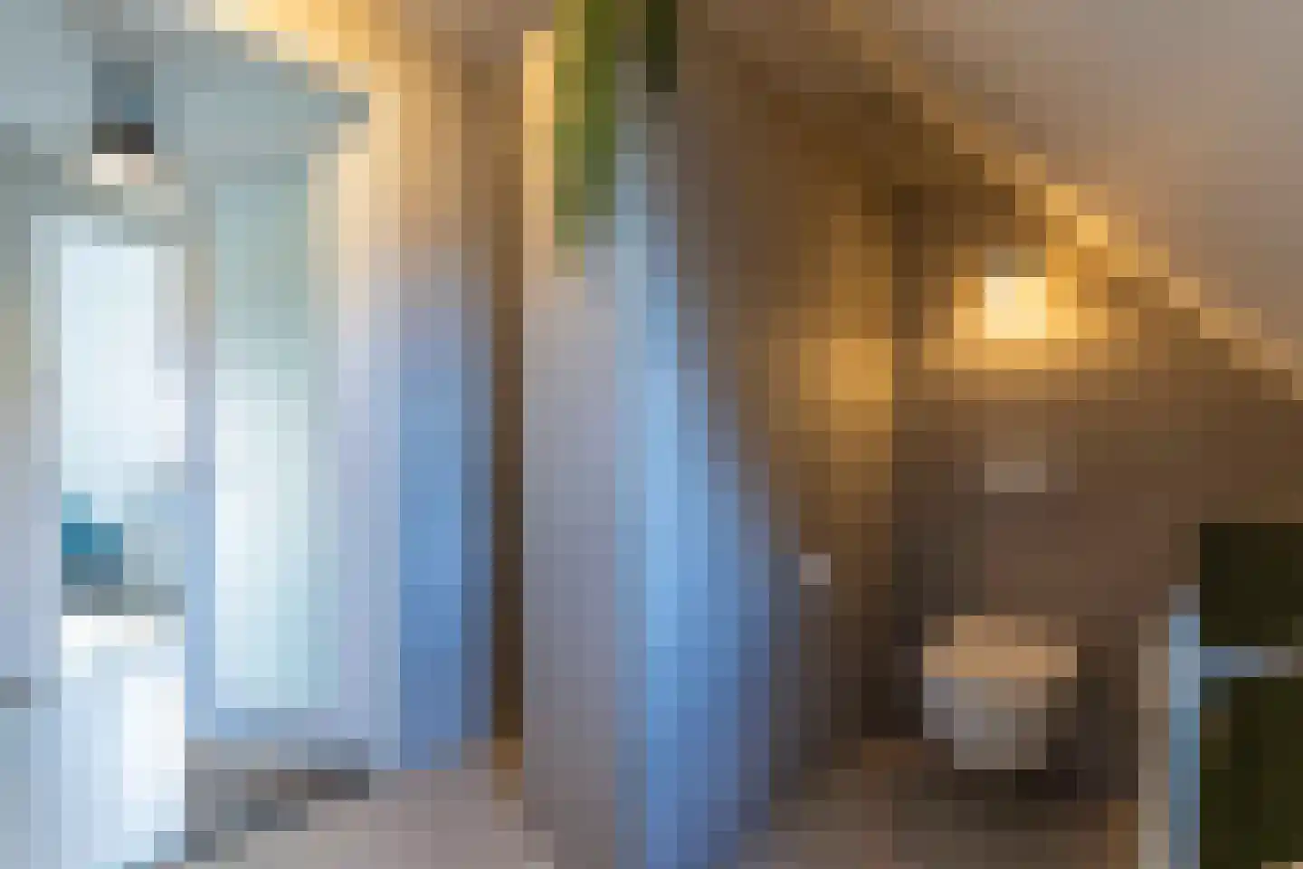 Koolmees 7 Kaatsheuvel thumbnail 24