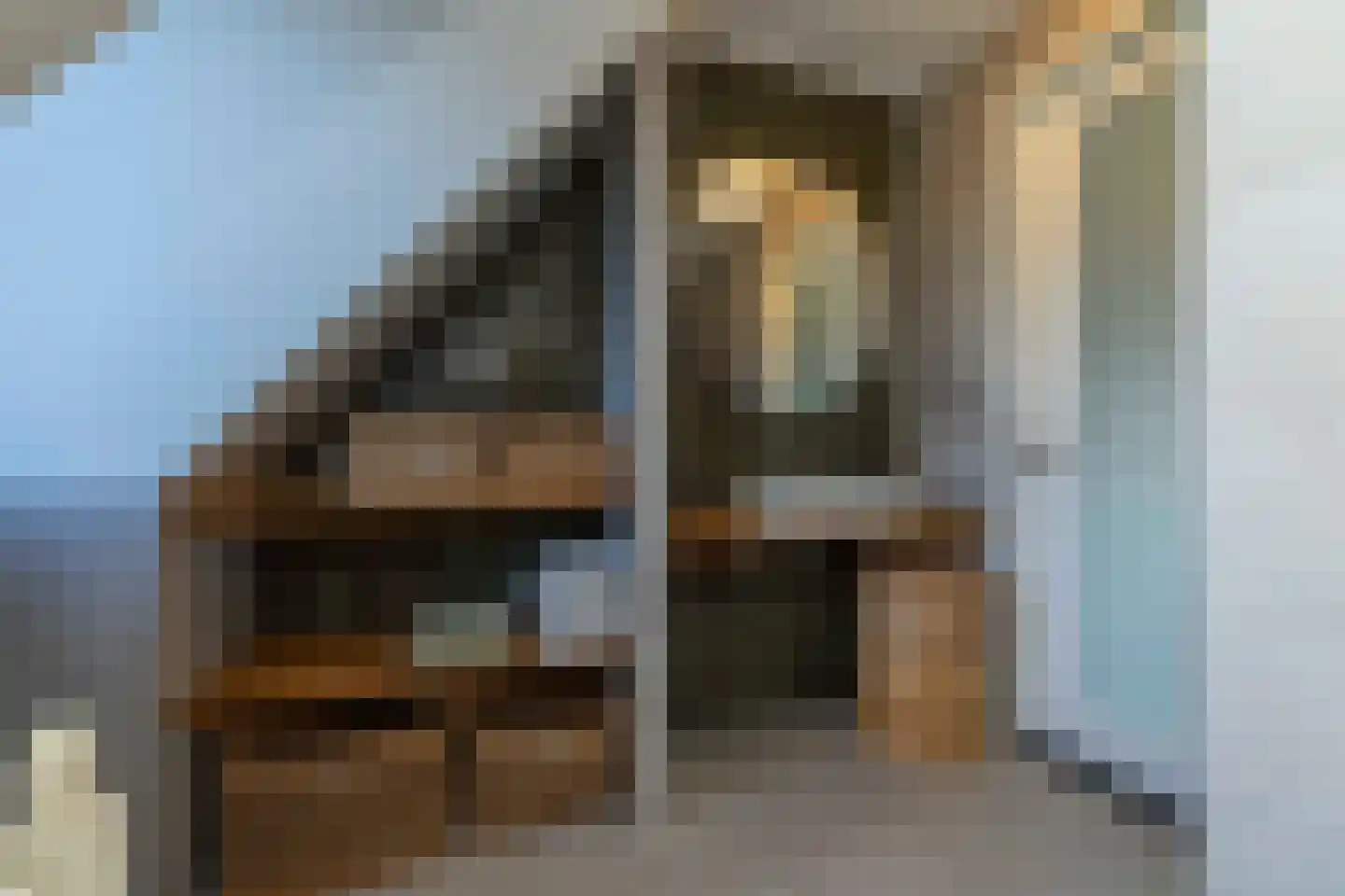 Koolmees 7 Kaatsheuvel thumbnail 25