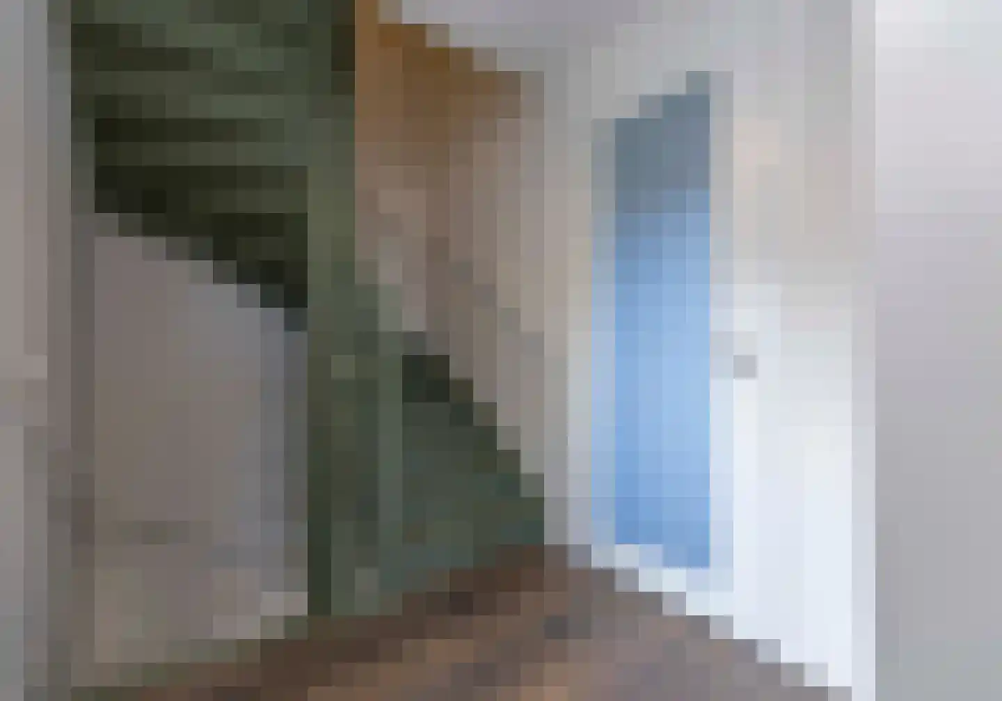 Koolmees 7 Kaatsheuvel thumbnail 26