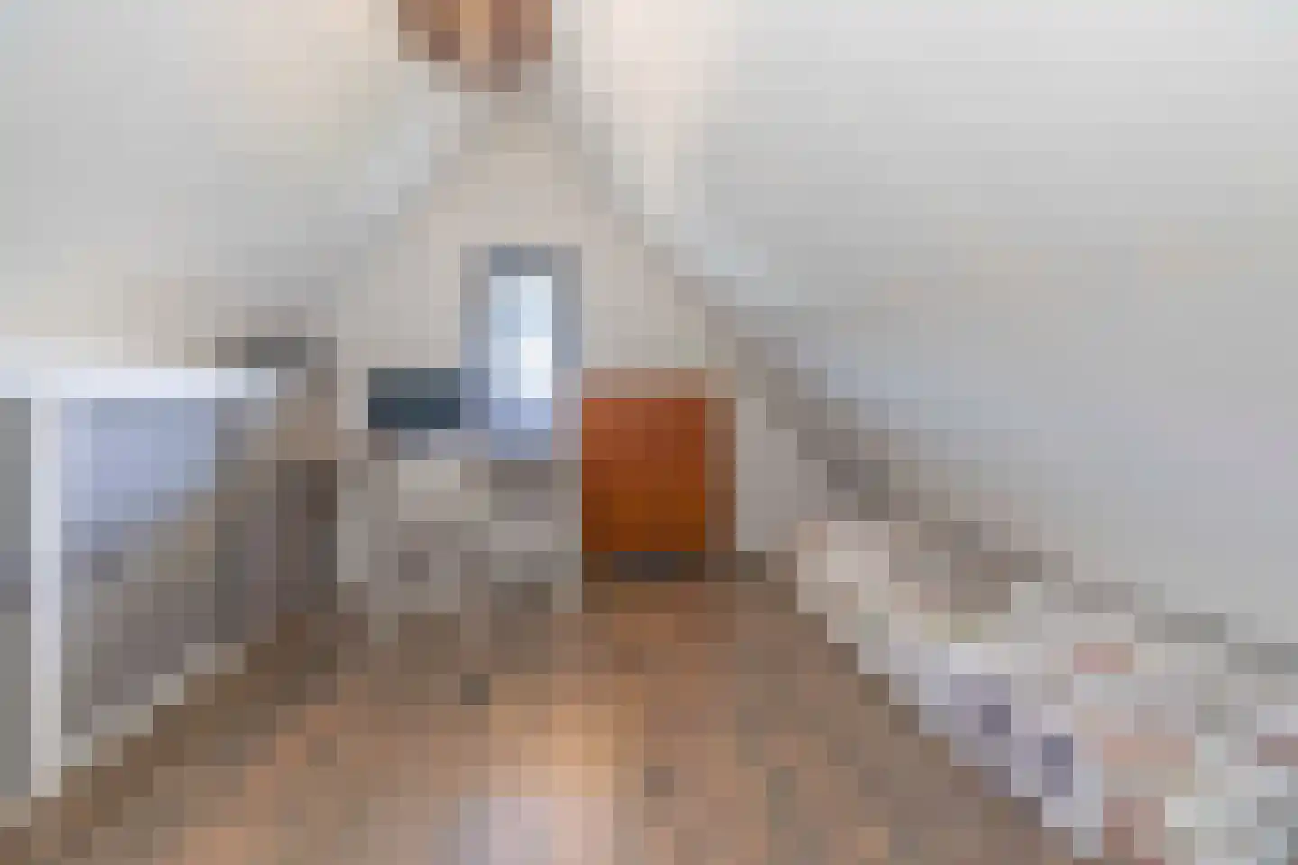 Koolmees 7 Kaatsheuvel thumbnail 28