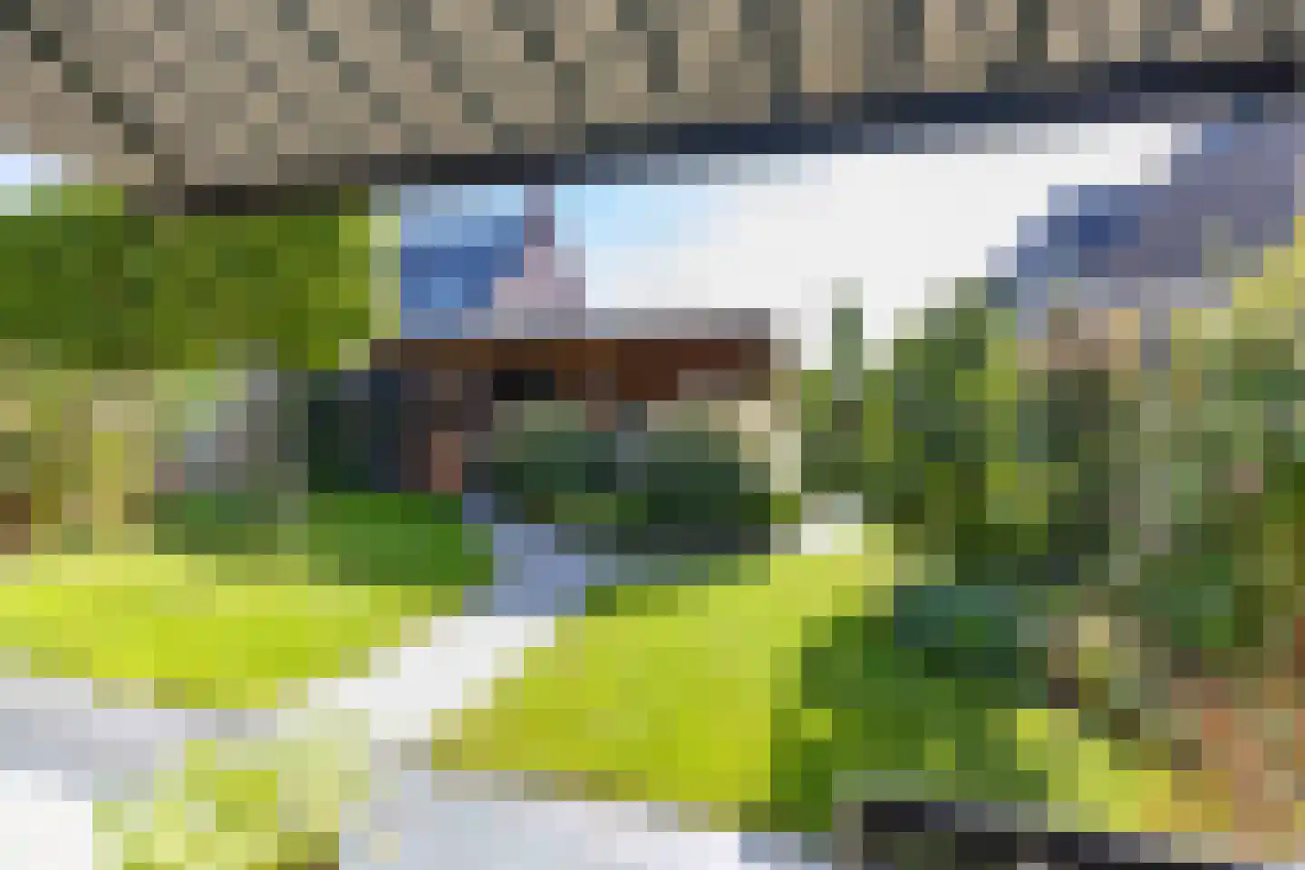 Koolmees 7 Kaatsheuvel thumbnail 29