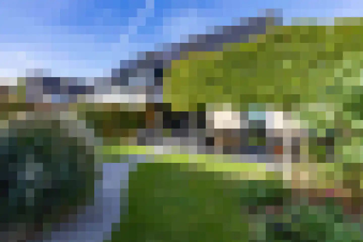 Koolmees 7 Kaatsheuvel thumbnail 30