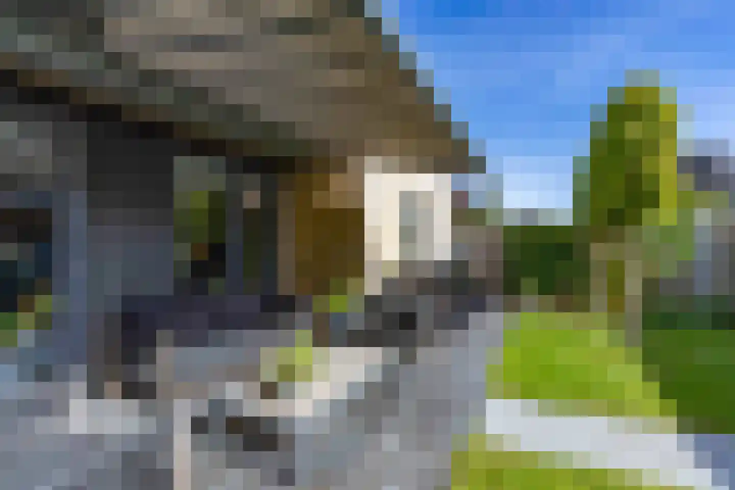 Koolmees 7 Kaatsheuvel thumbnail 32