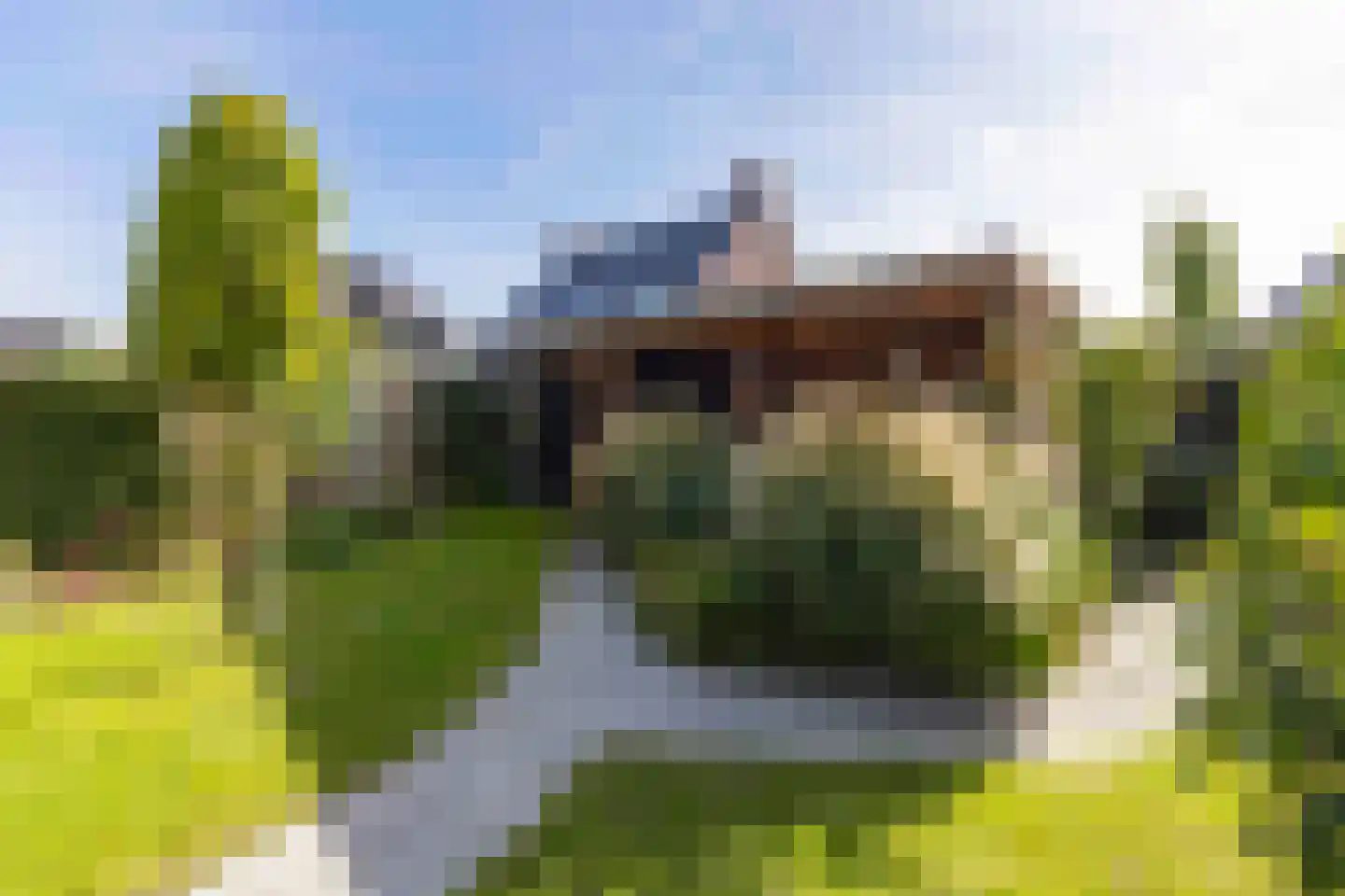 Koolmees 7 Kaatsheuvel thumbnail 33