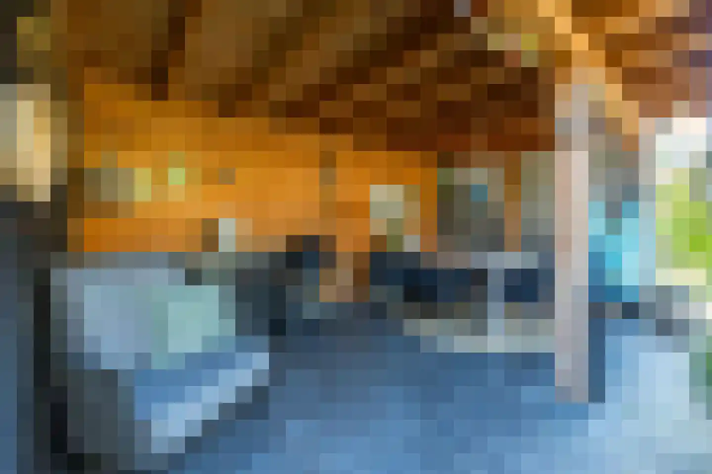 Koolmees 7 Kaatsheuvel thumbnail 35