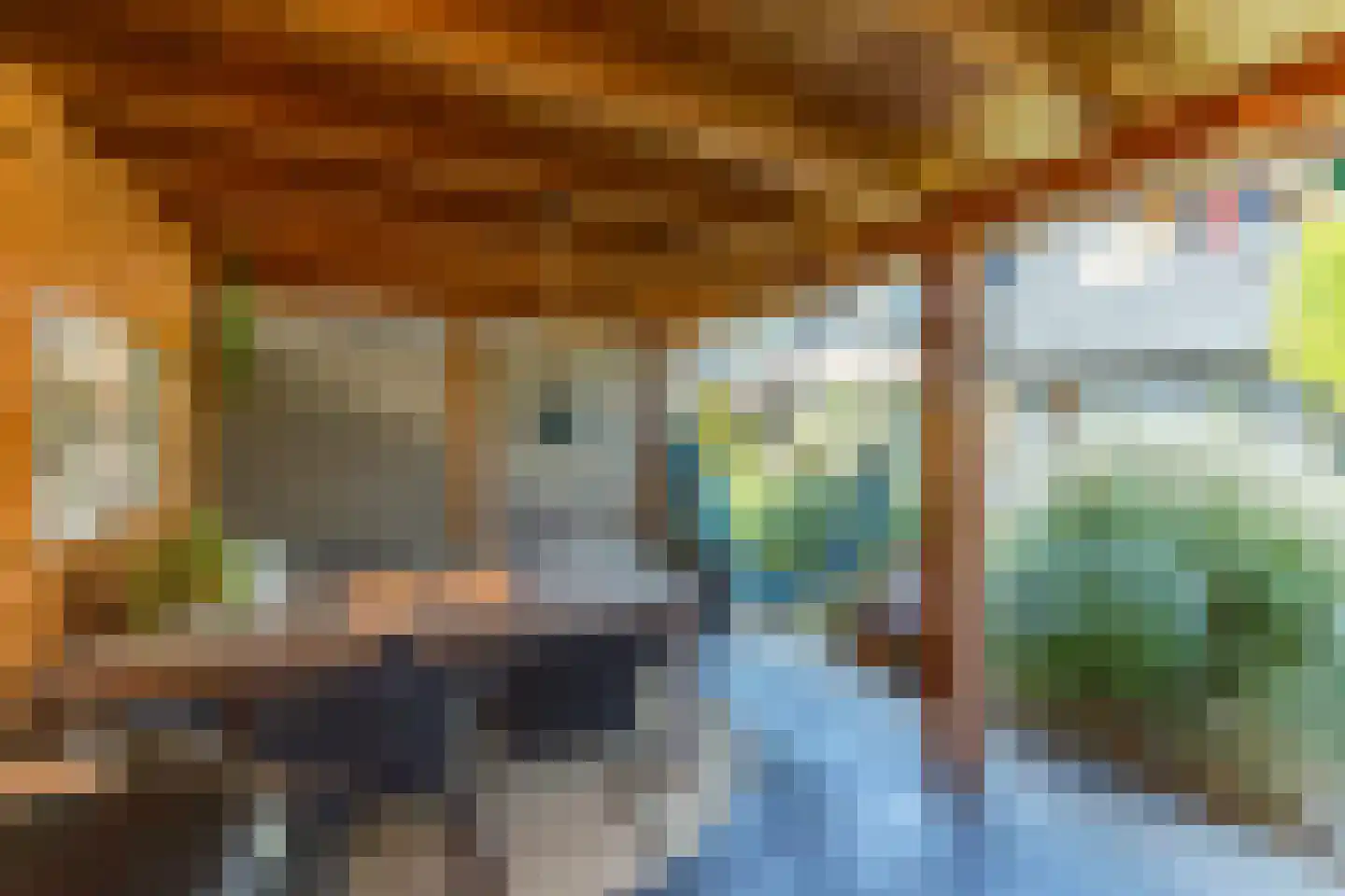 Koolmees 7 Kaatsheuvel thumbnail 36
