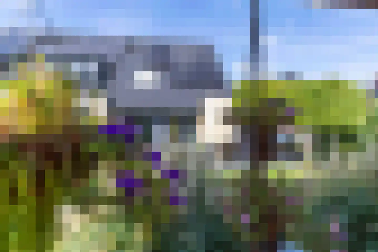 Koolmees 7 Kaatsheuvel thumbnail 37