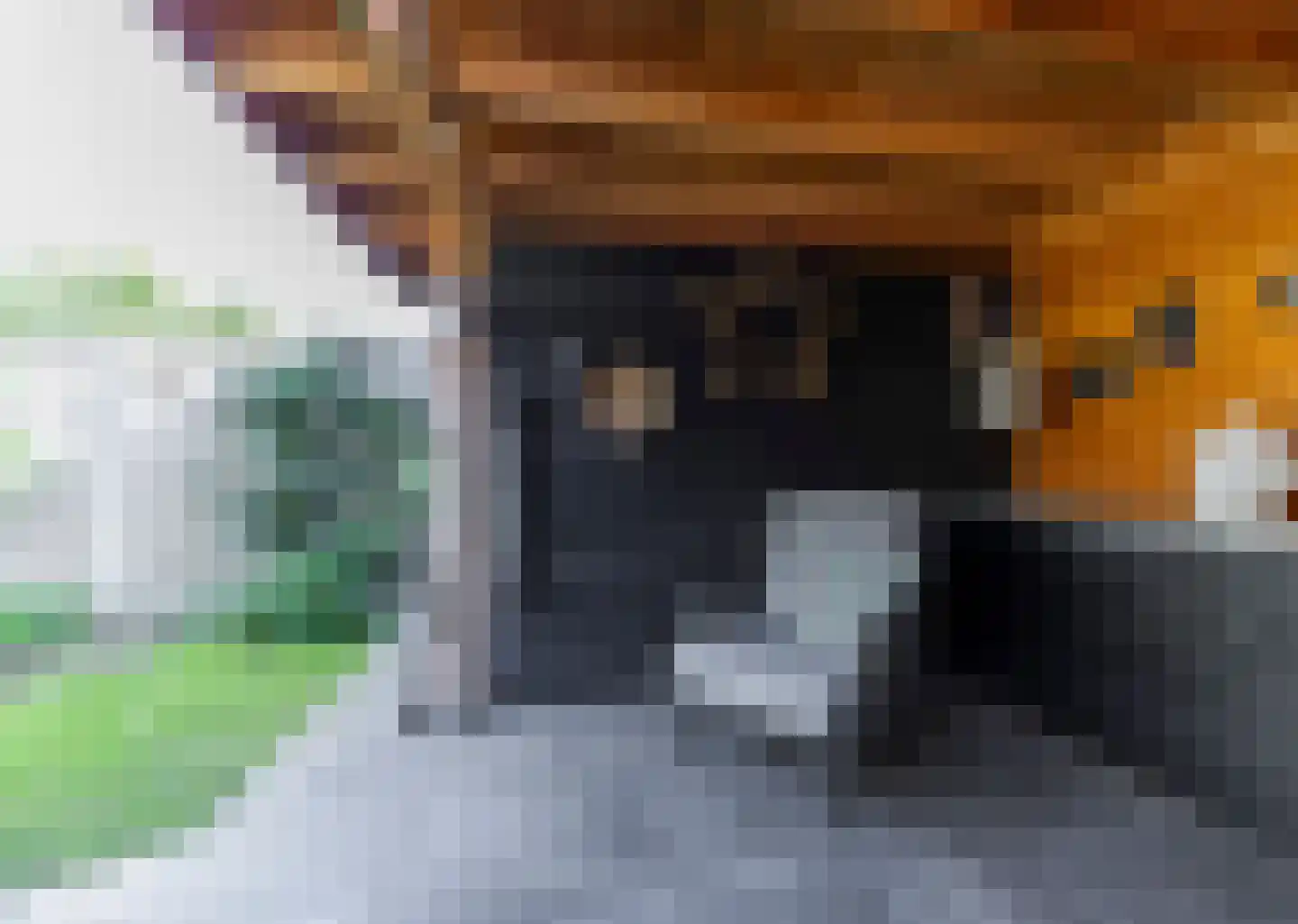 Koolmees 7 Kaatsheuvel thumbnail 38