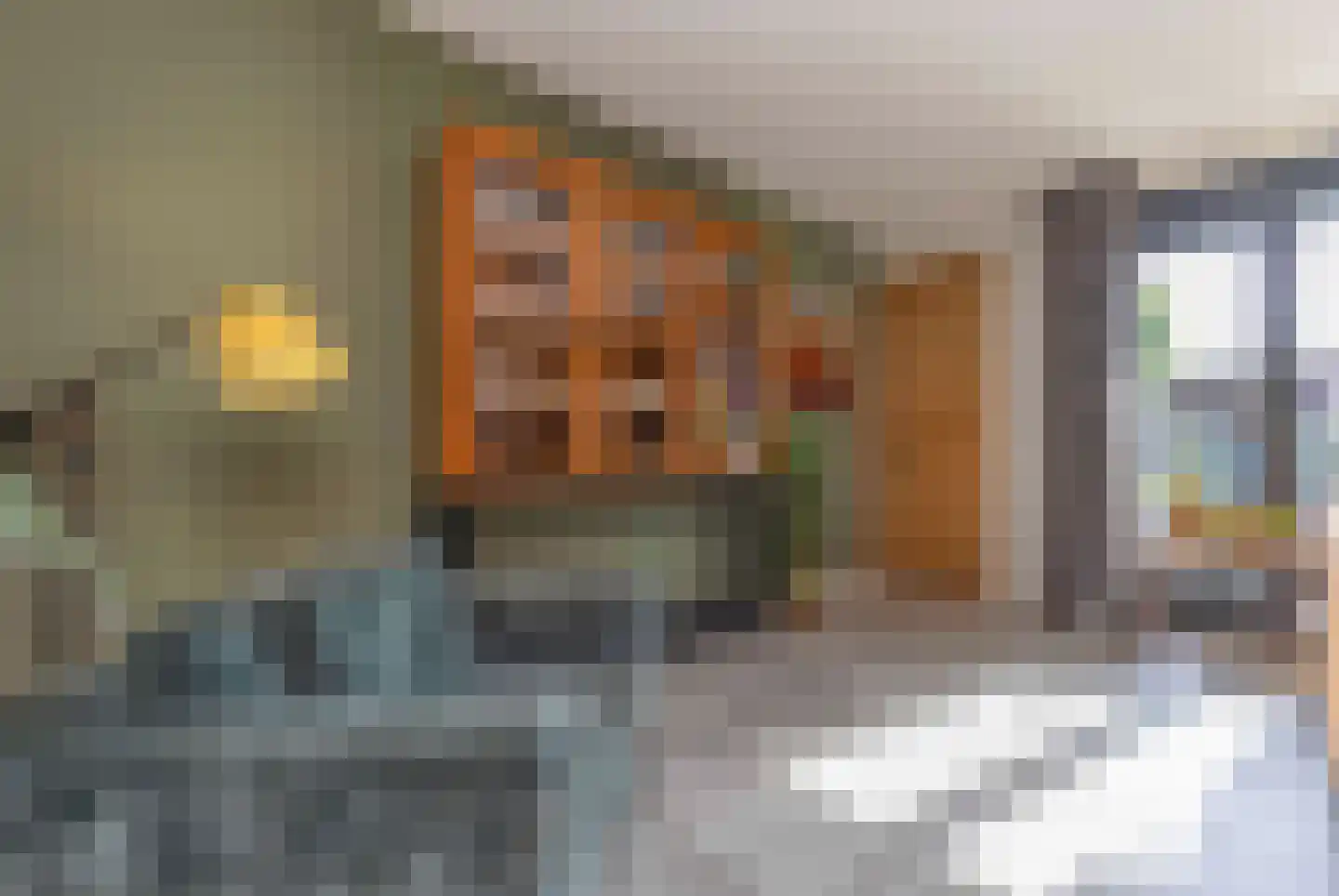Koolmees 7 Kaatsheuvel thumbnail 4