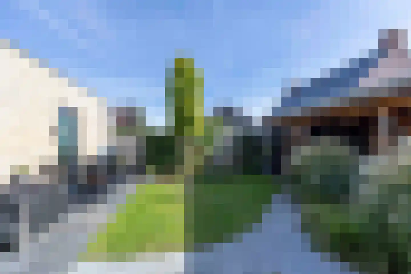 Koolmees 7 Kaatsheuvel thumbnail 40