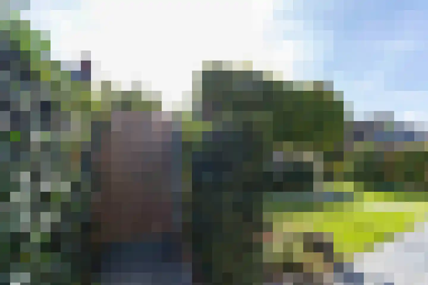 Koolmees 7 Kaatsheuvel thumbnail 42