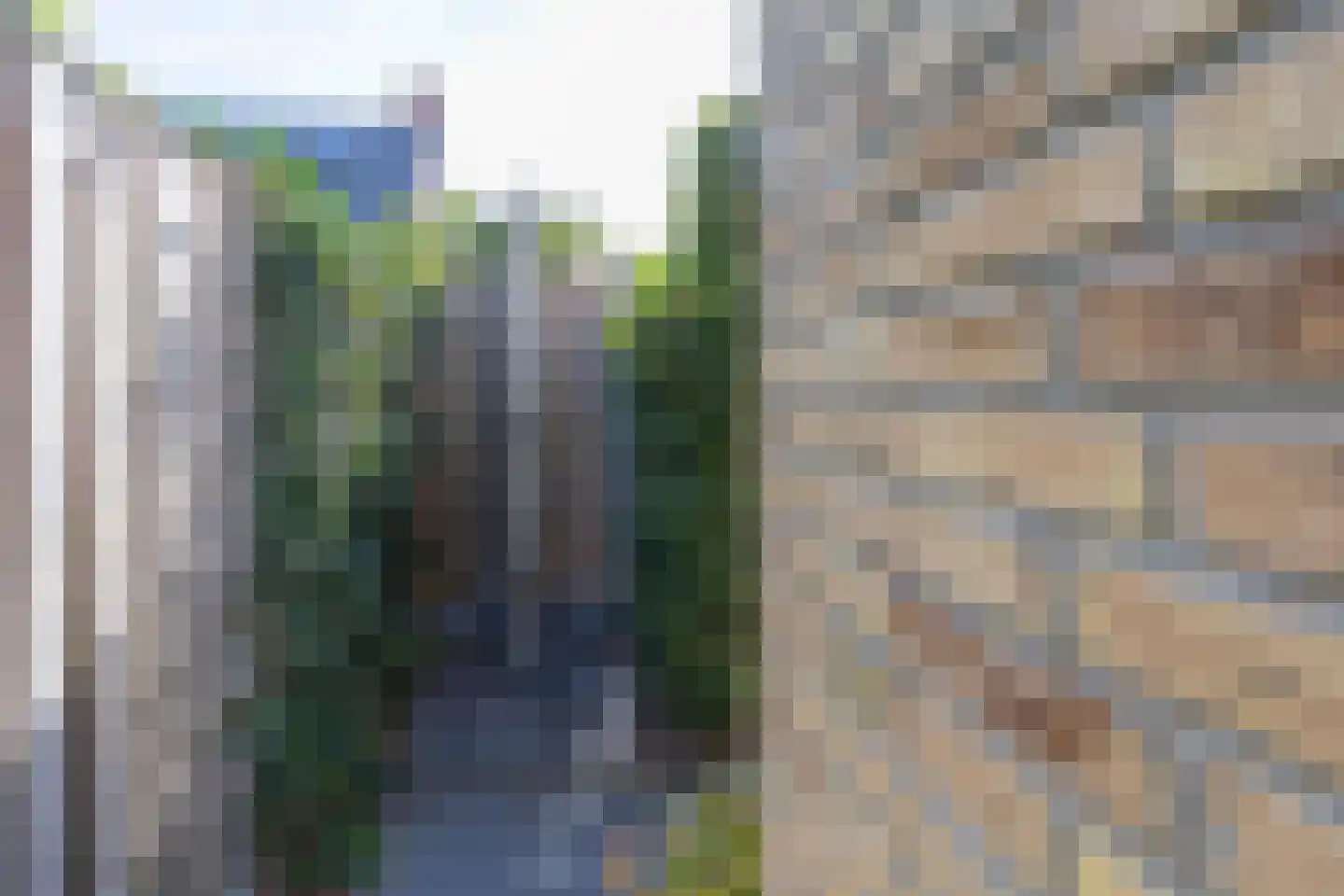 Koolmees 7 Kaatsheuvel thumbnail 43