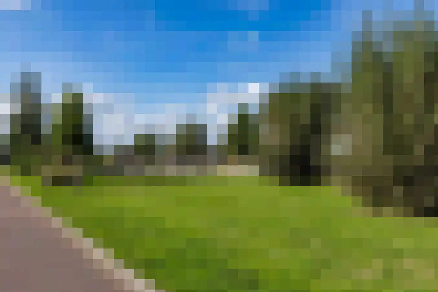 Koolmees 7 Kaatsheuvel thumbnail 44