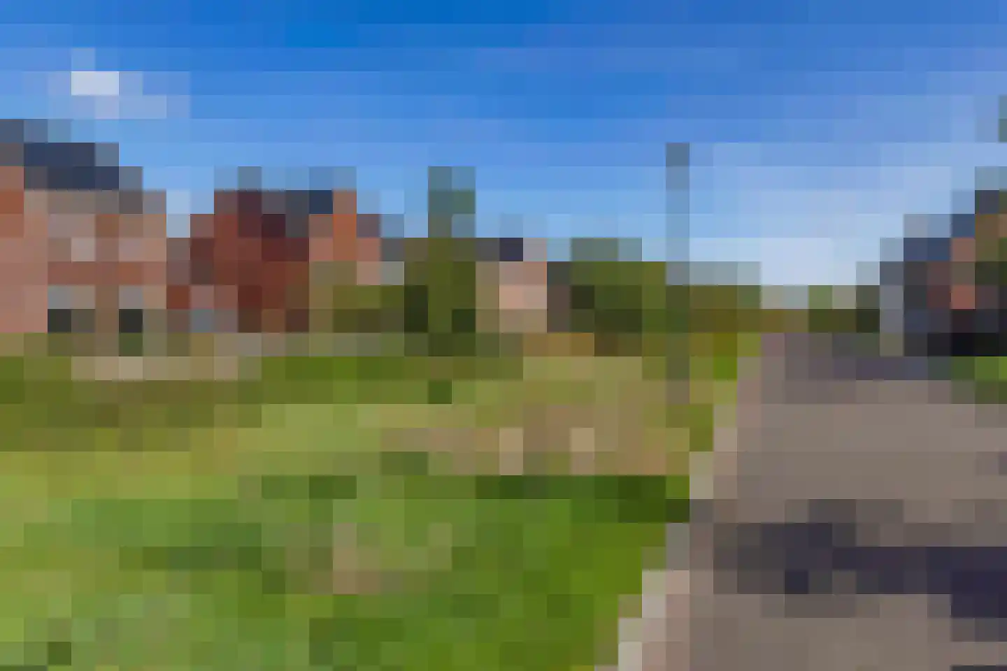 Koolmees 7 Kaatsheuvel thumbnail 45