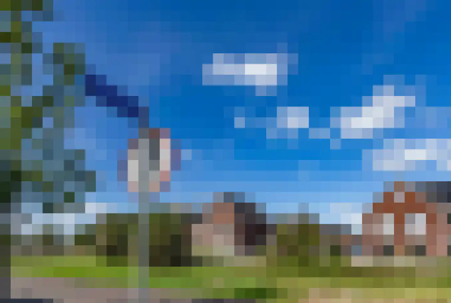 Koolmees 7 Kaatsheuvel thumbnail 46