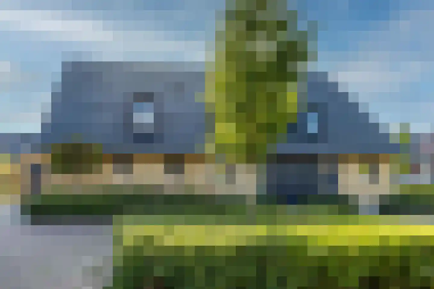 Koolmees 7 Kaatsheuvel thumbnail 49
