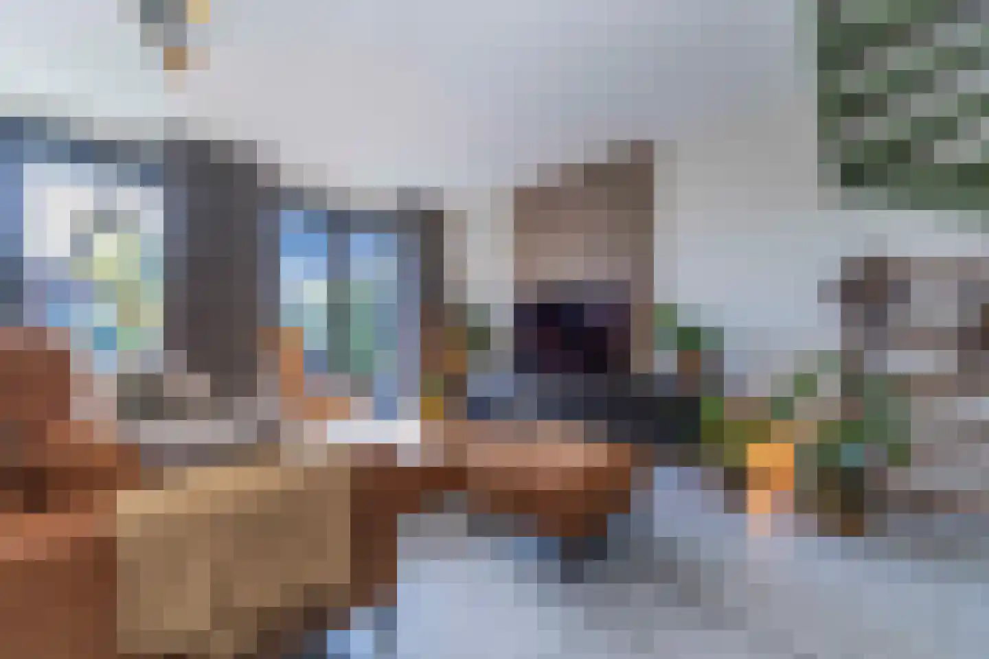 Koolmees 7 Kaatsheuvel thumbnail 5