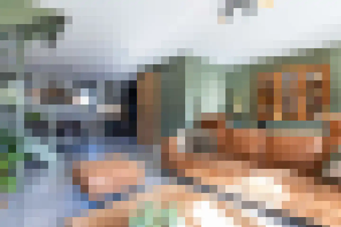 Koolmees 7 Kaatsheuvel thumbnail 6