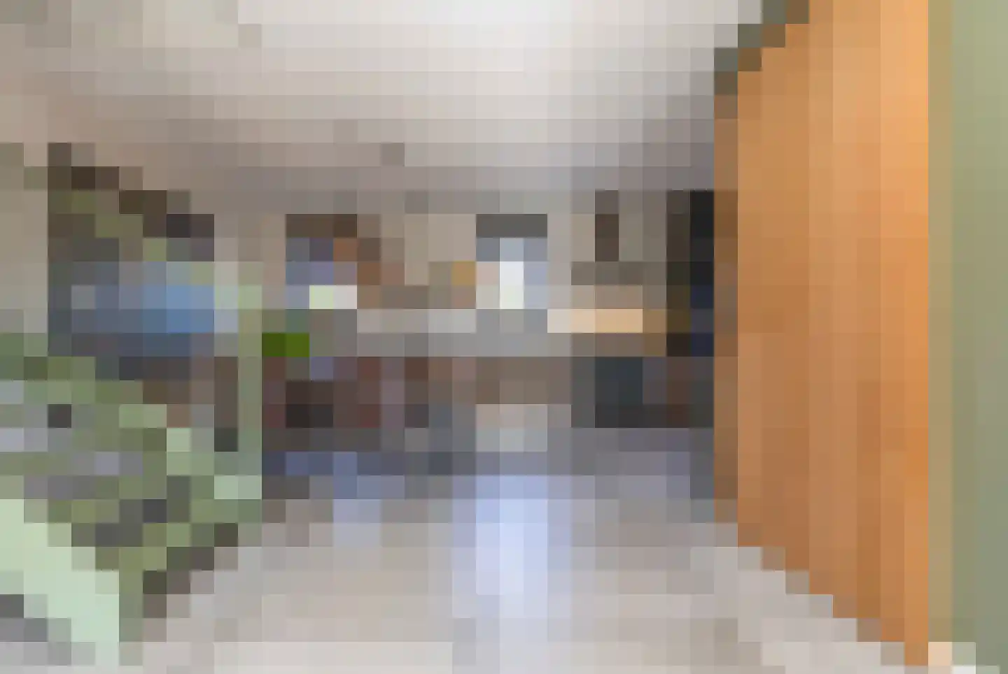 Koolmees 7 Kaatsheuvel thumbnail 7