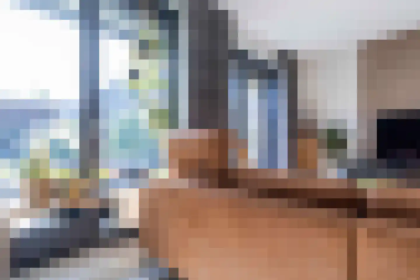 Koolmees 7 Kaatsheuvel thumbnail 8