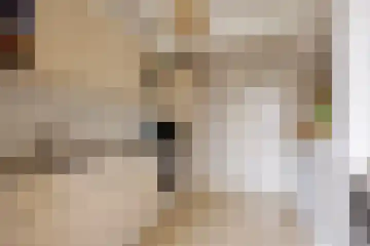 Koolmees 85 Ridderkerk thumbnail 12
