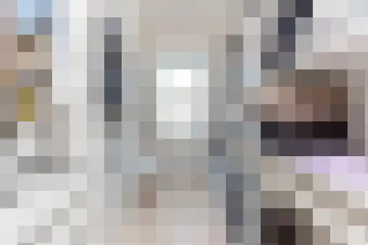 Koolmees 85 Ridderkerk thumbnail 15