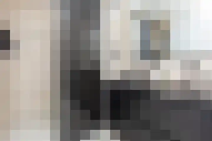 Koolmees 85 Ridderkerk thumbnail 21