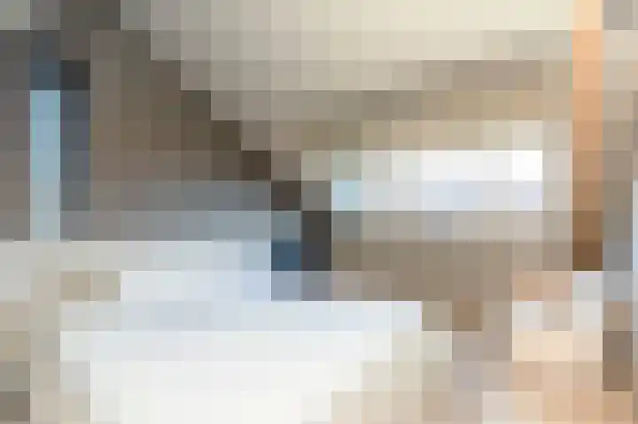 Koolmees 85 Ridderkerk thumbnail 24