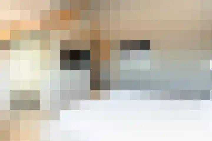 Koolmees 85 Ridderkerk thumbnail 26