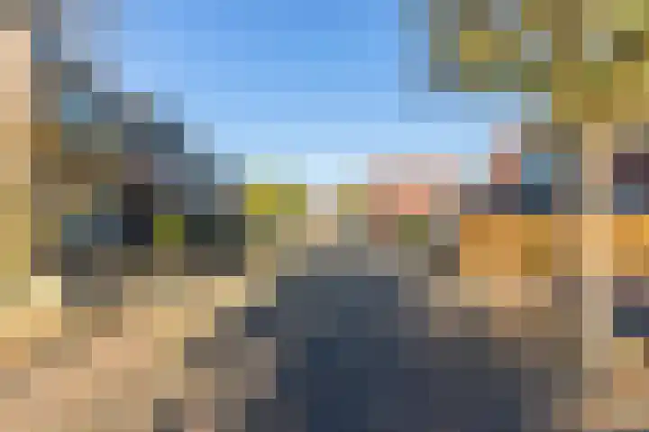 Koolmees 85 Ridderkerk thumbnail 34