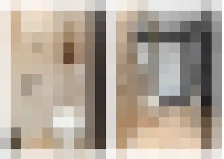 Koolmees 85 Ridderkerk thumbnail 4