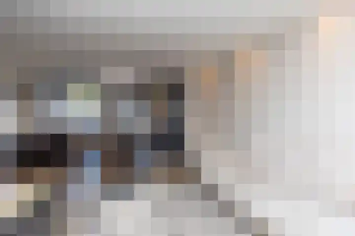 Koolmees 85 Ridderkerk thumbnail 5